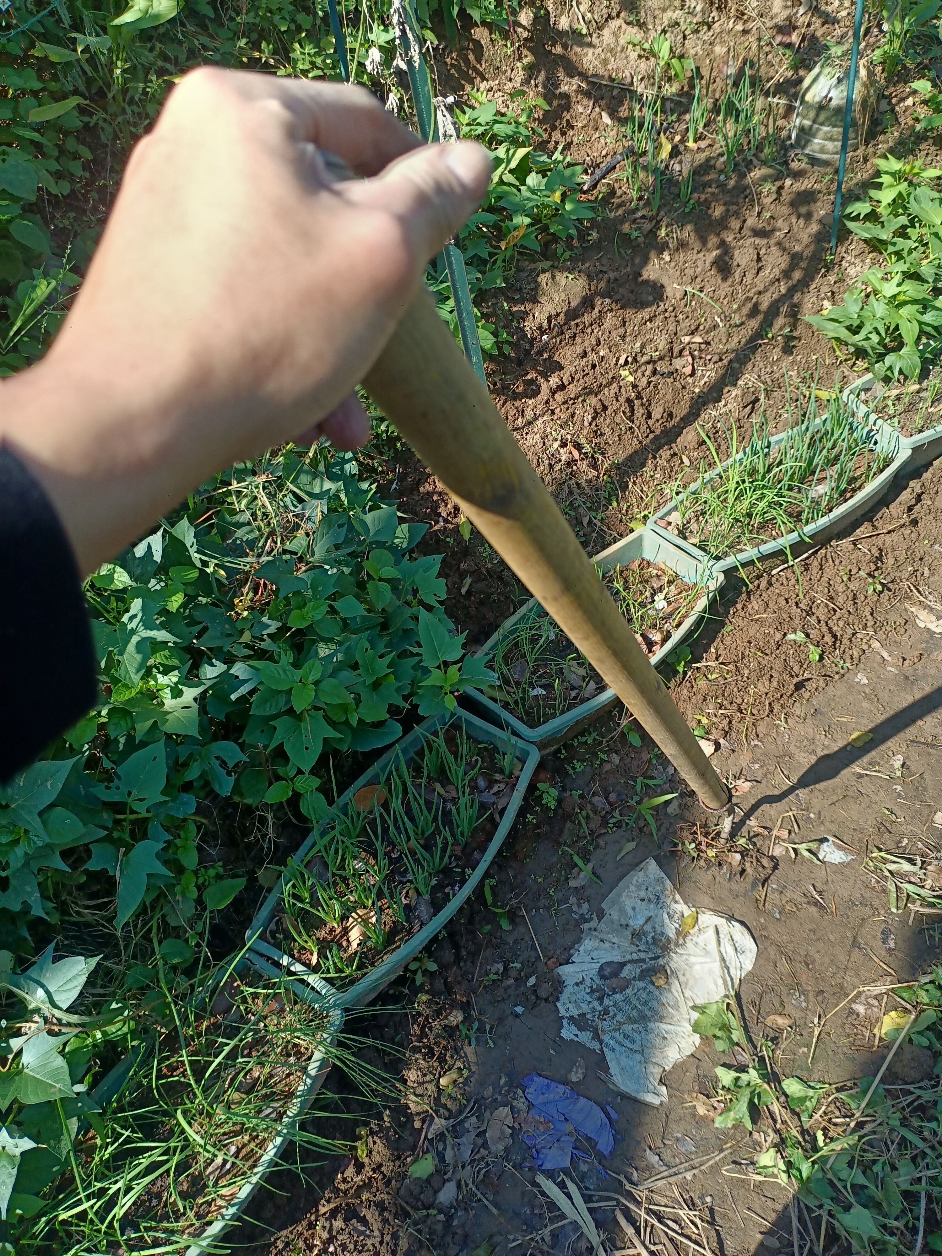 3第三遍上传测试12345690