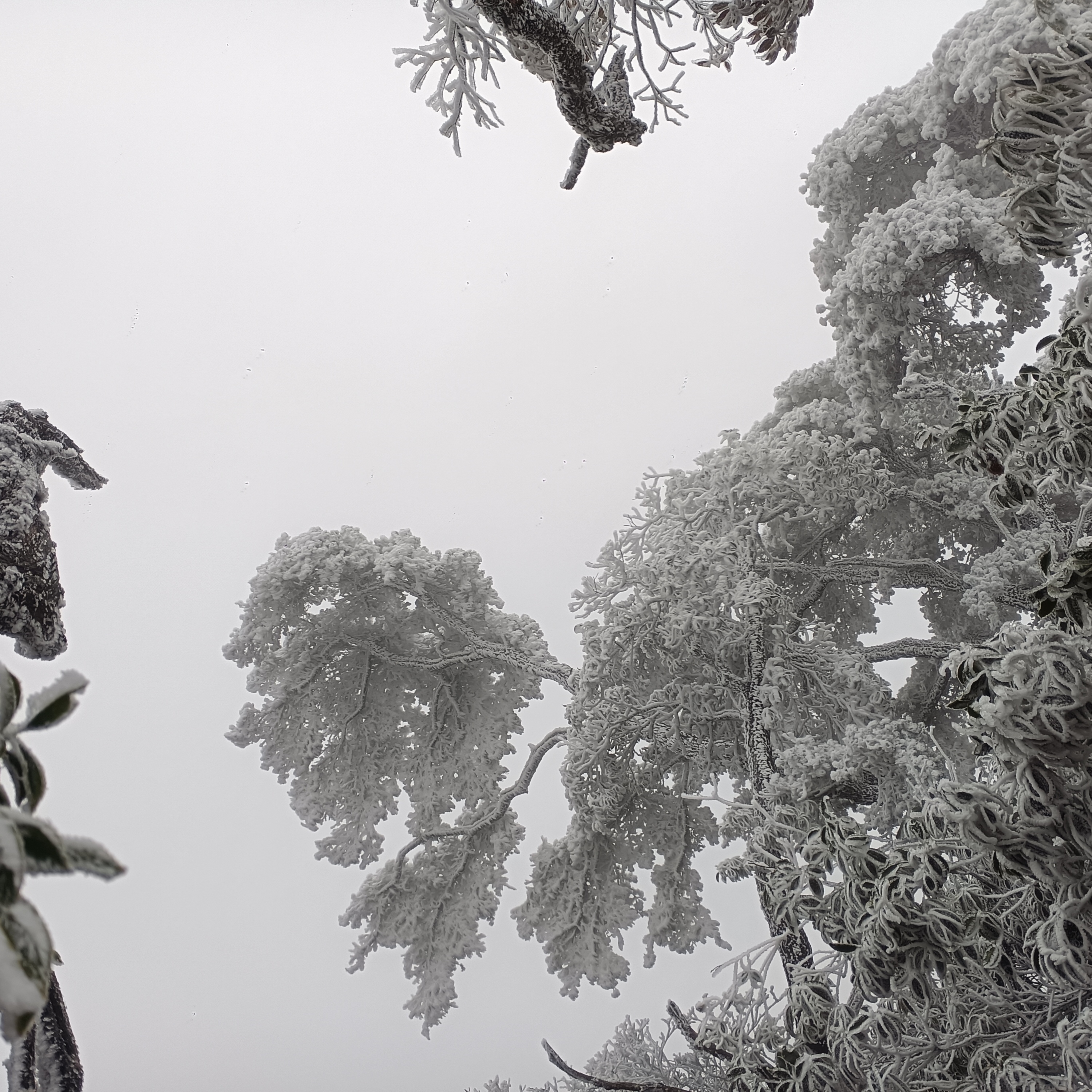 测试图片速度123