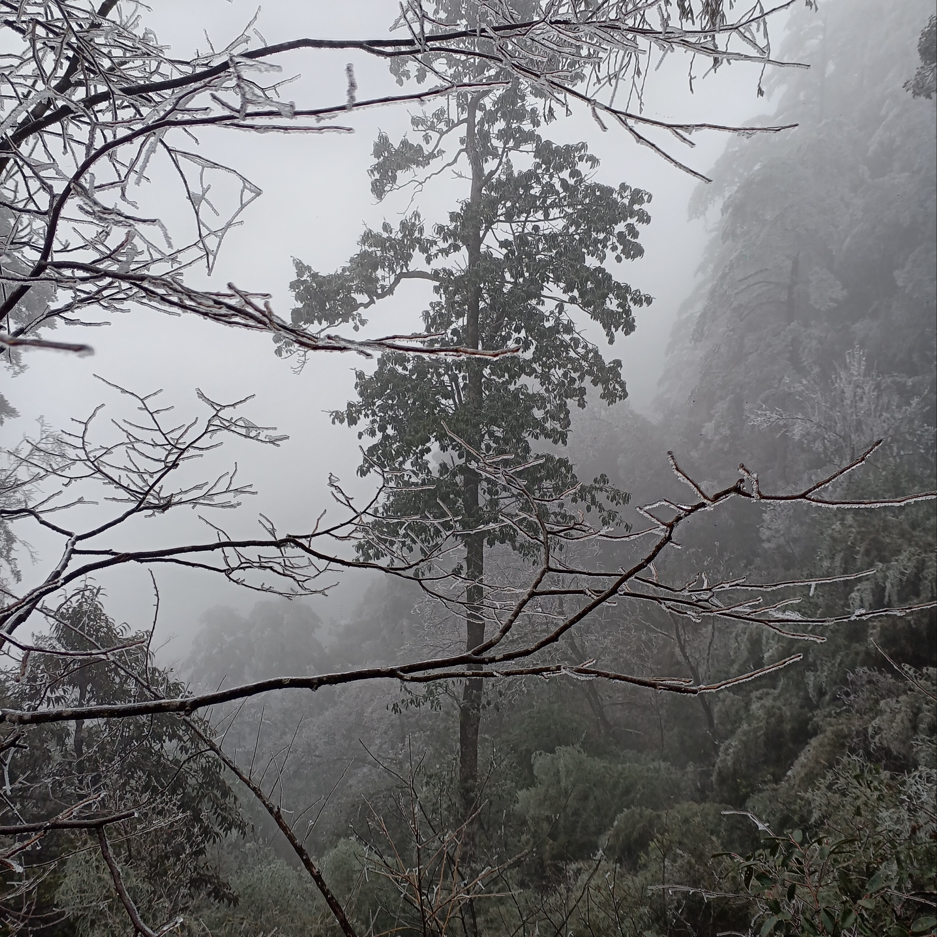 10M上传测试123456789123456789